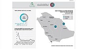 Saudi, expat infected with MERS