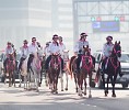 Pink Caravan Riders and Volunteers Work Over 200,000 Hours for Breast Cancer Awareness