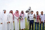 تحدي قوي للخيل المشاركة في اليوم الثاني لبطولة عكاظ الأولى لجمال الخيل العربية الأصيلة