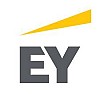 EY: 6 MENA IPO deals raise US$2,822.5m in Q2 2019