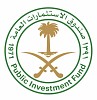 صندوق الاستثمارات العامة يستحوذ على ما يصل إلى 9.5٪ من أسهم شركة  