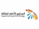 UAE continues to pioneer transition to green economy: DSCE Secretary-General